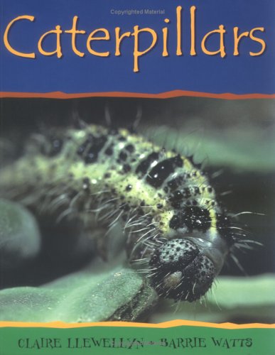 Book cover for Caterpillars-PB