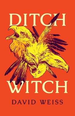 Book cover for Ditch Witch
