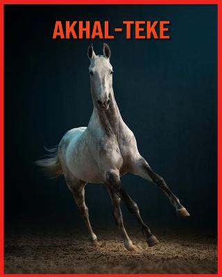 Book cover for Akhal-Teke