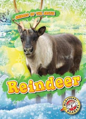 Book cover for Reindeer