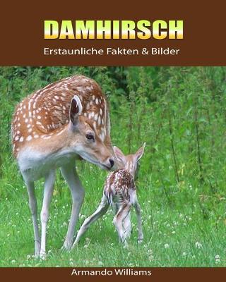 Book cover for Damhirsch