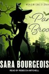 Book cover for Panic Broom