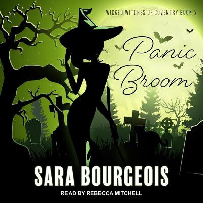 Cover of Panic Broom