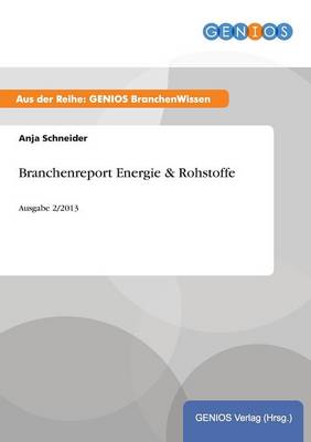 Book cover for Branchenreport Energie & Rohstoffe