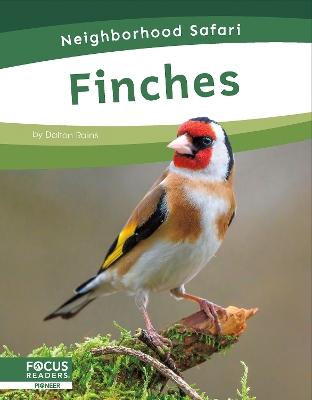 Book cover for Finches