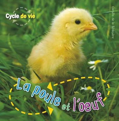 Cover of Cycle de Vie: La Poule Et l'Oeuf