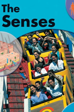 Cover of The Senses