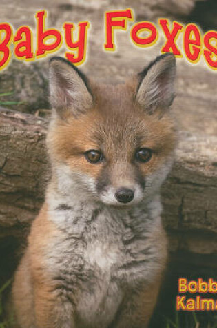 Cover of Baby Foxes