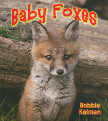 Cover of Baby Foxes