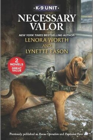 Cover of Necessary Valor