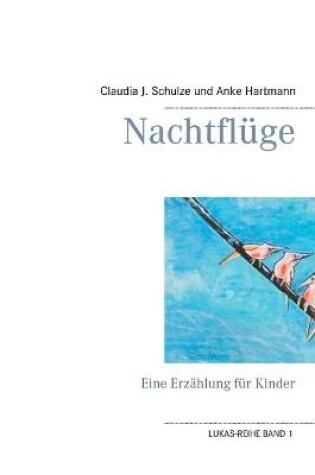 Cover of Nachtflüge