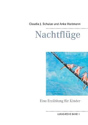 Book cover for Nachtflüge