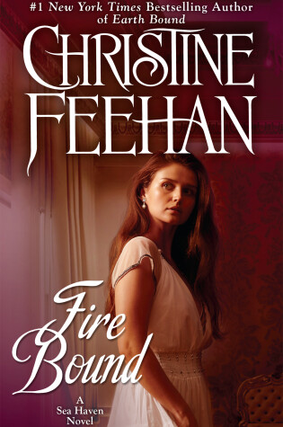 Cover of Fire Bound
