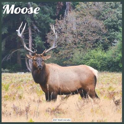 Book cover for Moose 2021 Wall Calendar