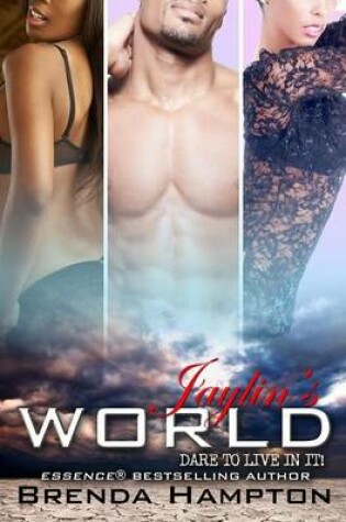 Cover of Jaylin's World