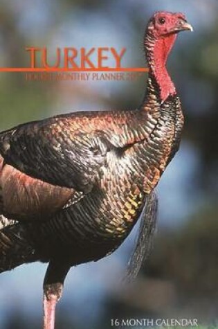 Cover of Turkey Pocket Monthly Planner 2017