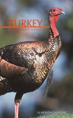 Book cover for Turkey Pocket Monthly Planner 2017