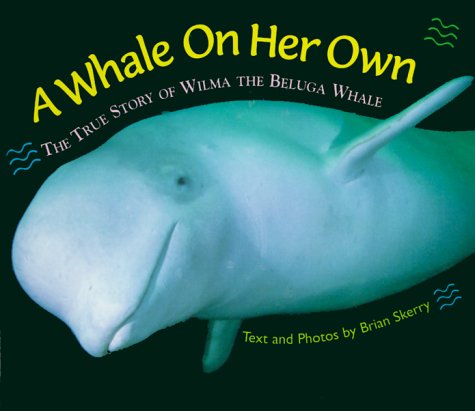 Book cover for A Whale on Her Own