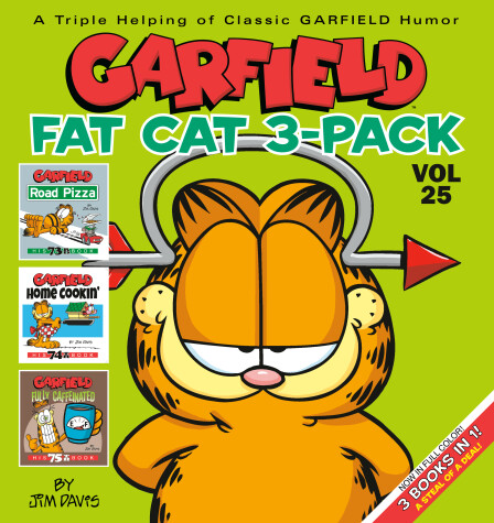 Book cover for Garfield Fat Cat 3-Pack #25