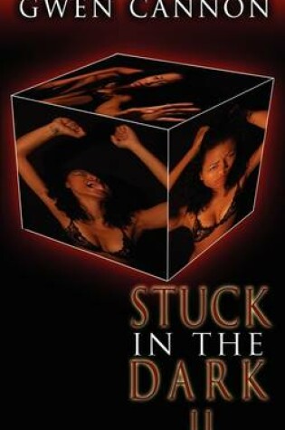 Cover of Stuck in the Dark II