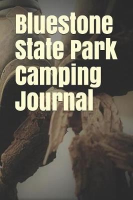 Book cover for BlueStone State Park Camping Journal