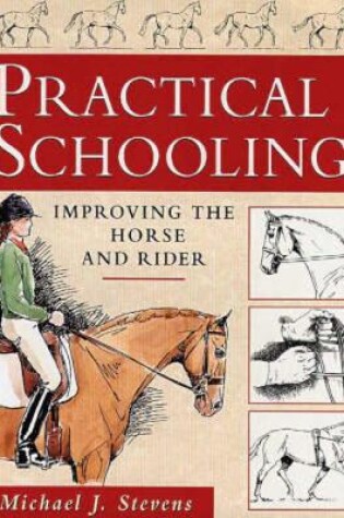 Cover of Practical Schooling