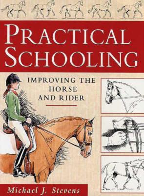 Book cover for Practical Schooling