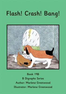 Book cover for Flash! Crash! Bang!