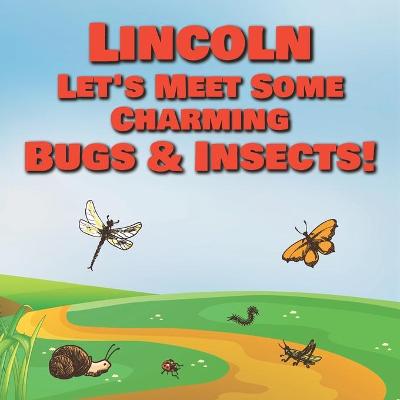 Book cover for Lincoln Let's Meet Some Charming Bugs & Insects!