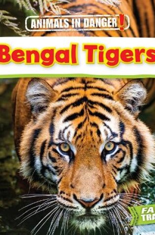 Cover of Bengal Tigers