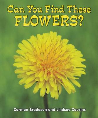 Cover of Can You Find These Flowers?