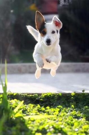 Cover of The Jumping Jack Russell Terrier Journal
