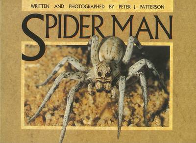 Book cover for Spider Man (G/R Ltr USA)