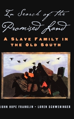 Book cover for In Search of the Promised Land