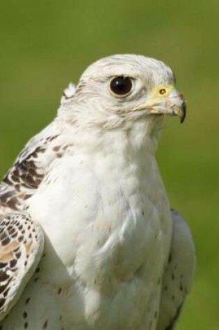 Cover of A White Gyrfalcon Portrait Journal