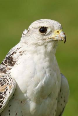 Book cover for A White Gyrfalcon Portrait Journal