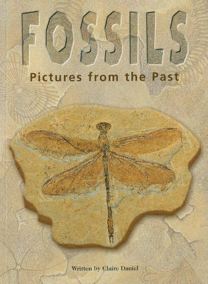 Book cover for Fossils