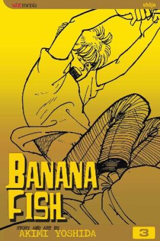 Cover of Banana Fish, Vol. 3