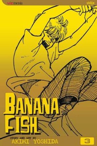 Cover of Banana Fish, Vol. 3