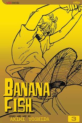 Book cover for Banana Fish, Vol. 3