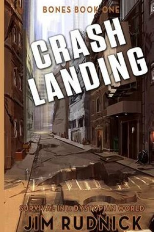 Cover of Crash Landing