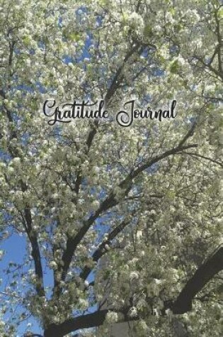 Cover of The Beauty of Nature Gratitude Journal