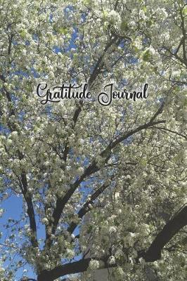 Book cover for The Beauty of Nature Gratitude Journal