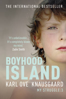 Book cover for Boyhood Island