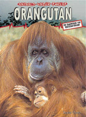 Cover of Animals Under Threat: Orangutan