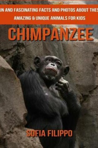 Cover of Chimpanzee