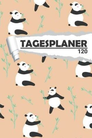 Cover of Tagesplaner Pandabär