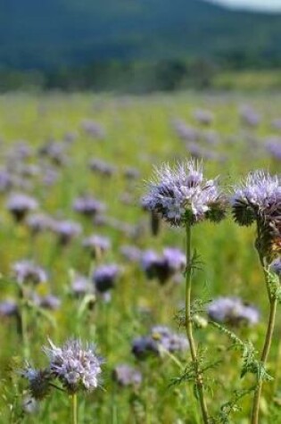 Cover of Phacelia Scorpion Weed Flowers Journal