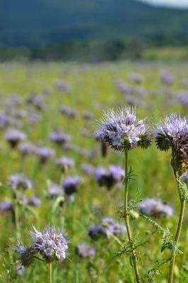 Book cover for Phacelia Scorpion Weed Flowers Journal