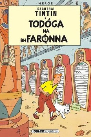 Cover of Tintin: Todoga Na Bhfaronna (Irish)